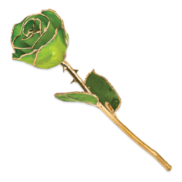 Lacquer Dipped Gold Trim Apple Green Rose - Image 2