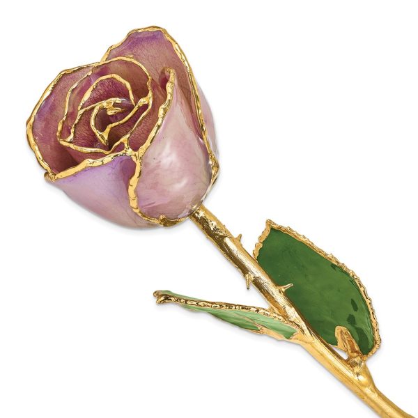 Lacquer Dipped Gold Trim Lavender Rose