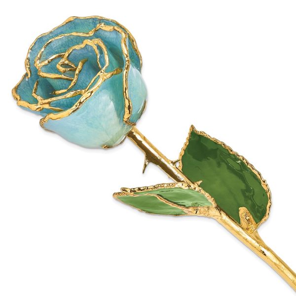 Lacquer Dipped Gold Trim Aquamarine Blue Rose