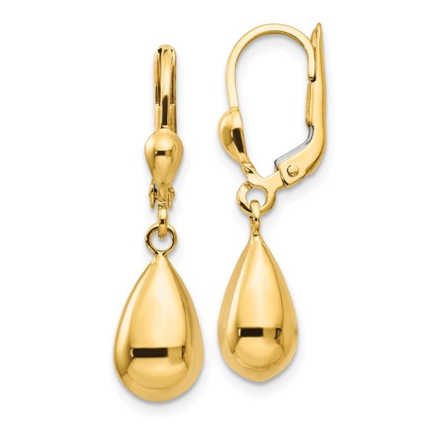 14k Polished Fancy Dangle Leverback Earrings