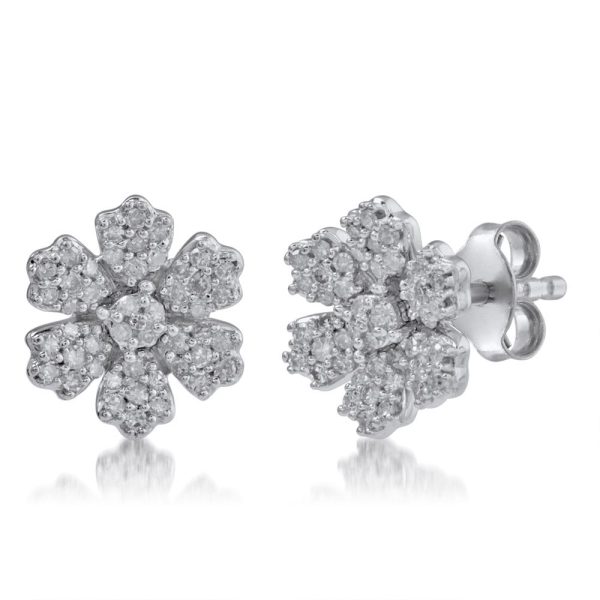 SILV W EARR .2500