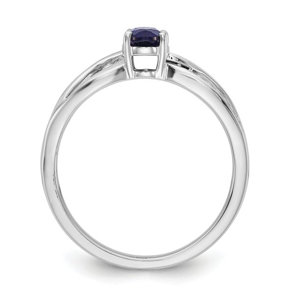 14k White Gold Polished Sapphire and Diamond Ring - Image 2