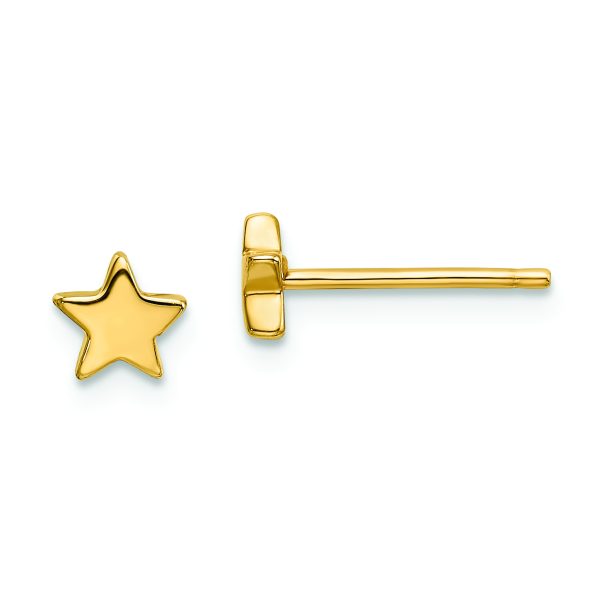 14k Gold Polished Star Post Earrings