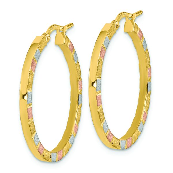 14k w/White & Rose Rhodium Polished & Satin Hoop Earrings - Image 2