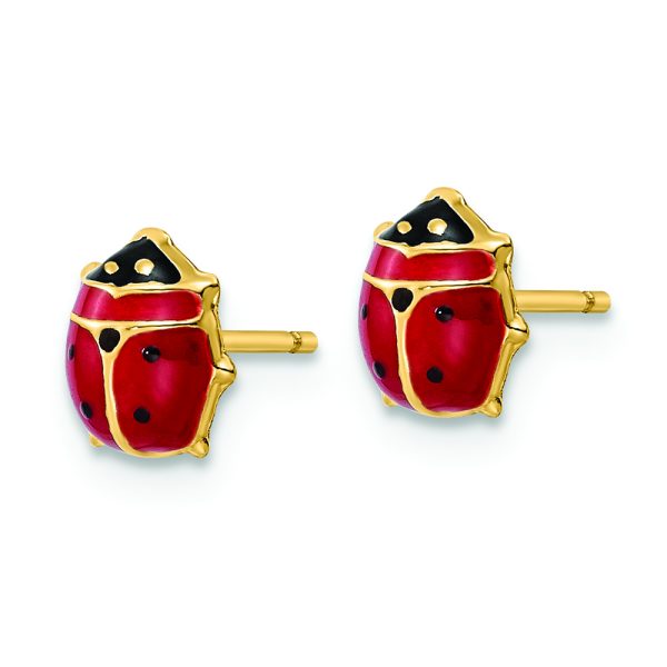 14k Polished Enameled Medium Ladybug Post Earrings - Image 2