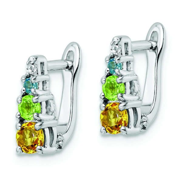 Sterling Silver RH-plated .77t.w. PE/CI/BT/WT Hinged Earrings - Image 2