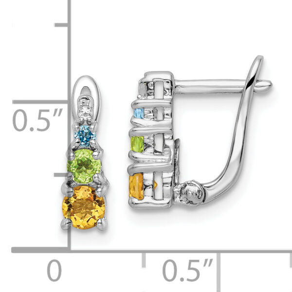 Sterling Silver RH-plated .77t.w. PE/CI/BT/WT Hinged Earrings - Image 3