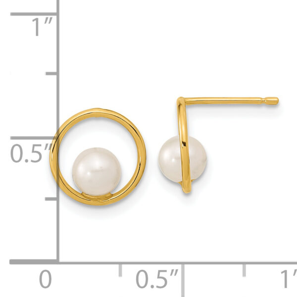 14K Madi K Open Circle 5mm Freshwater Cultured Pearl Post Earrings - Image 2